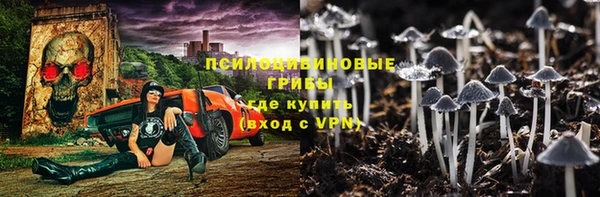 дурь Богданович